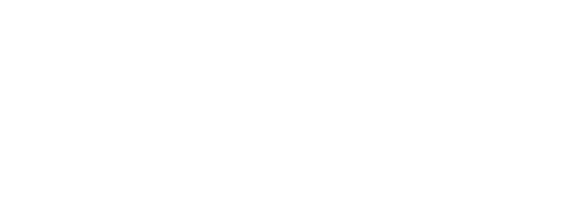 DLX General Trading LLC